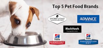 Top Selling Pet Food Brands Online