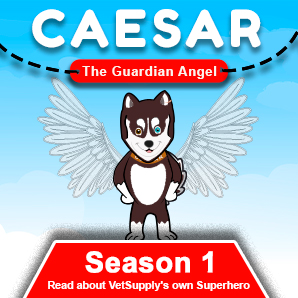 Caesar - The Guardian Angel - Super Dog Story