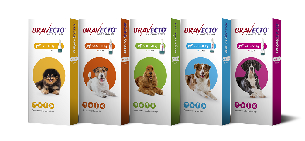 bravecto spot on for dogs 