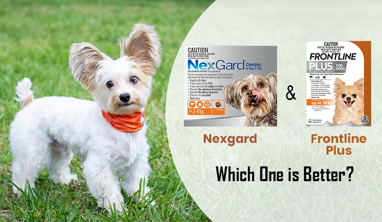 Nexgard vs Frontline Plus