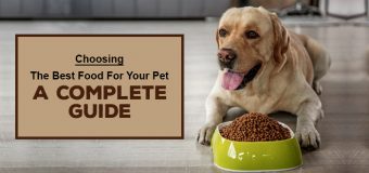 Choosing The Best Food For Your Pet – A Complete Guide