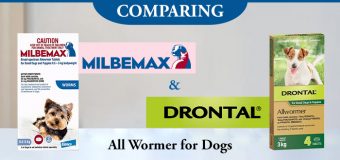 Comparing Milbemax and Drontal: All Wormer for Dogs