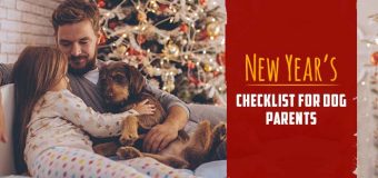New Year’s Checklist for Dog Parents