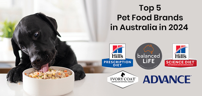 best pet food brands 2024