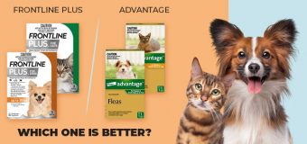 Frontline Plus vs. Advantage – Which One is Better?