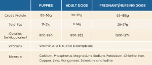 What’s the Difference Between Dog and Cat Food, and Why does It Matter ...