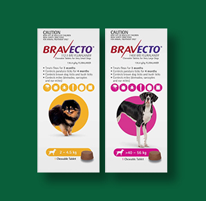 VS-BP-Bravecto-24Dec24