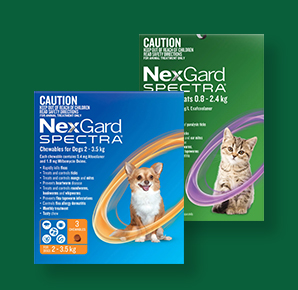 VS-BP-Nexgard-Spectra-24Dec24
