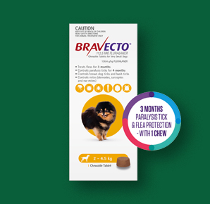 VS-BP-Bravecto-24Dec24 (2)