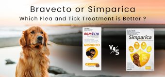 Bravecto or Simparica, Which Flea and Tick Treatment is Better ?