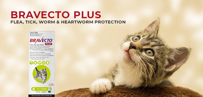 Bravecto Plus – Flea, Tick, Worm & Heartworm Protection