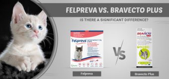 Felpreva vs. Bravecto Plus: Is There a Significant Difference?