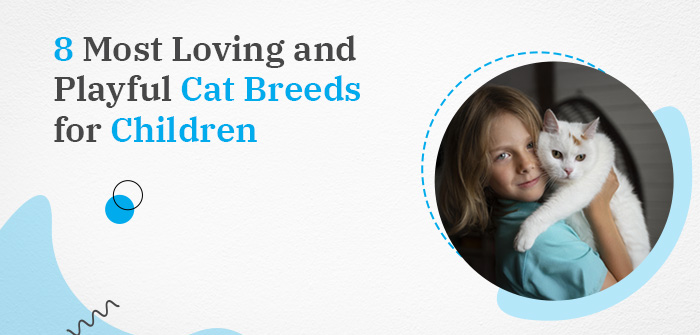 8 Most Loving and Playful Cat Breeds for Children