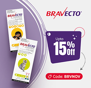 VS-BP-Bravecto-17Oct25