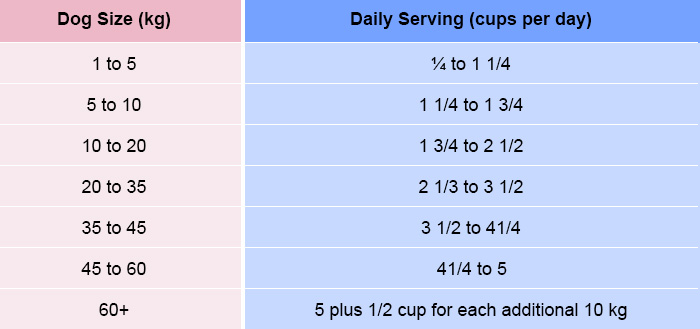 How Much Food Should I Feed My Dog?