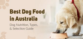 Best Dog Food in Australia: Dog Nutrition, Types, and Selection Guide