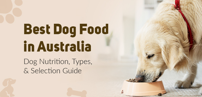 Best Dog Food in Australia: Dog Nutrition, Types, and Selection Guide
