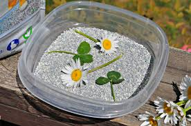 Dry Fresh Flowers