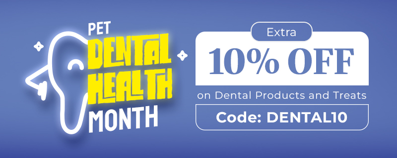 Dental Month