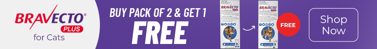 Dental Month Sale