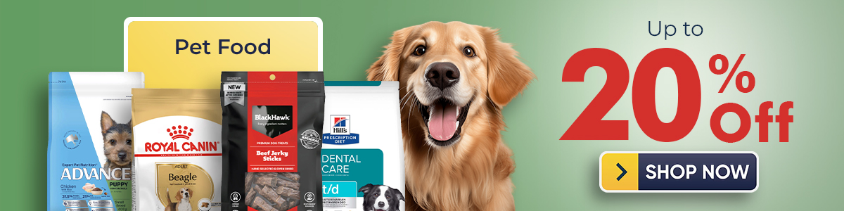 Dental Month Sale