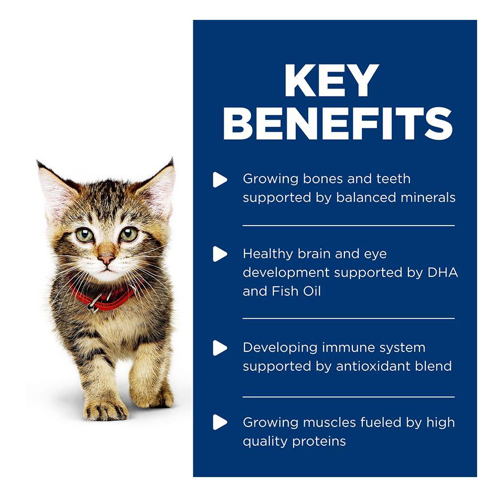 Hill's Science Diet Kitten Up to 1 Year with Salmon Wet Cat Food 85gm