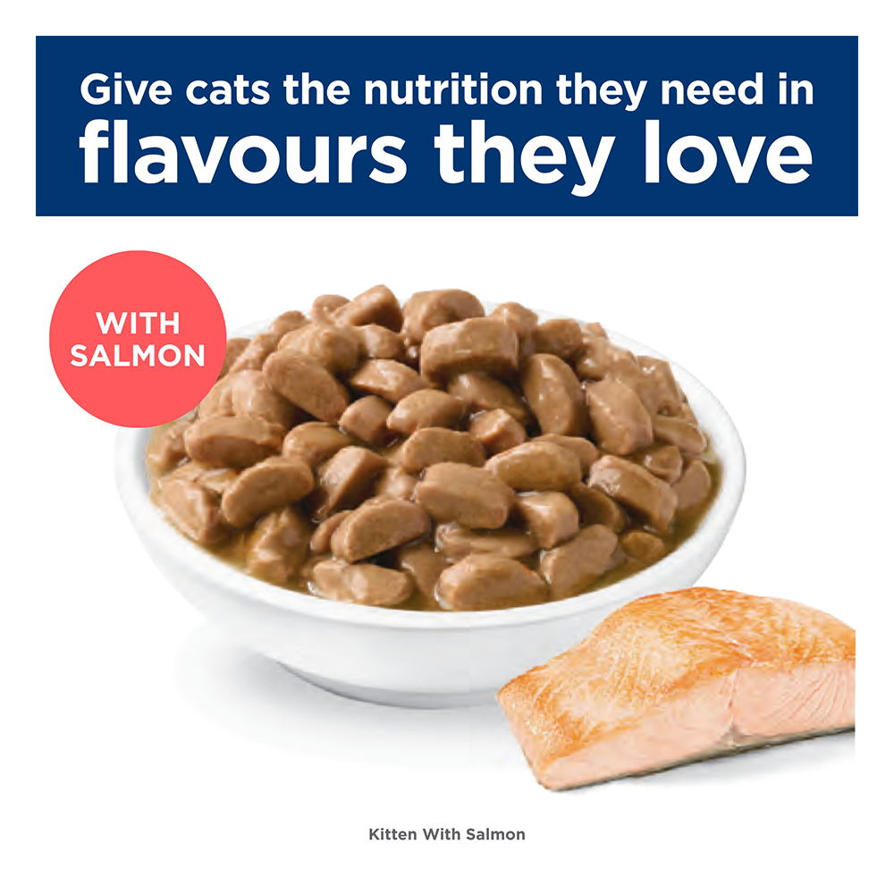 Hill's Science Diet Kitten Up to 1 Year with Salmon Wet Cat Food 85gm