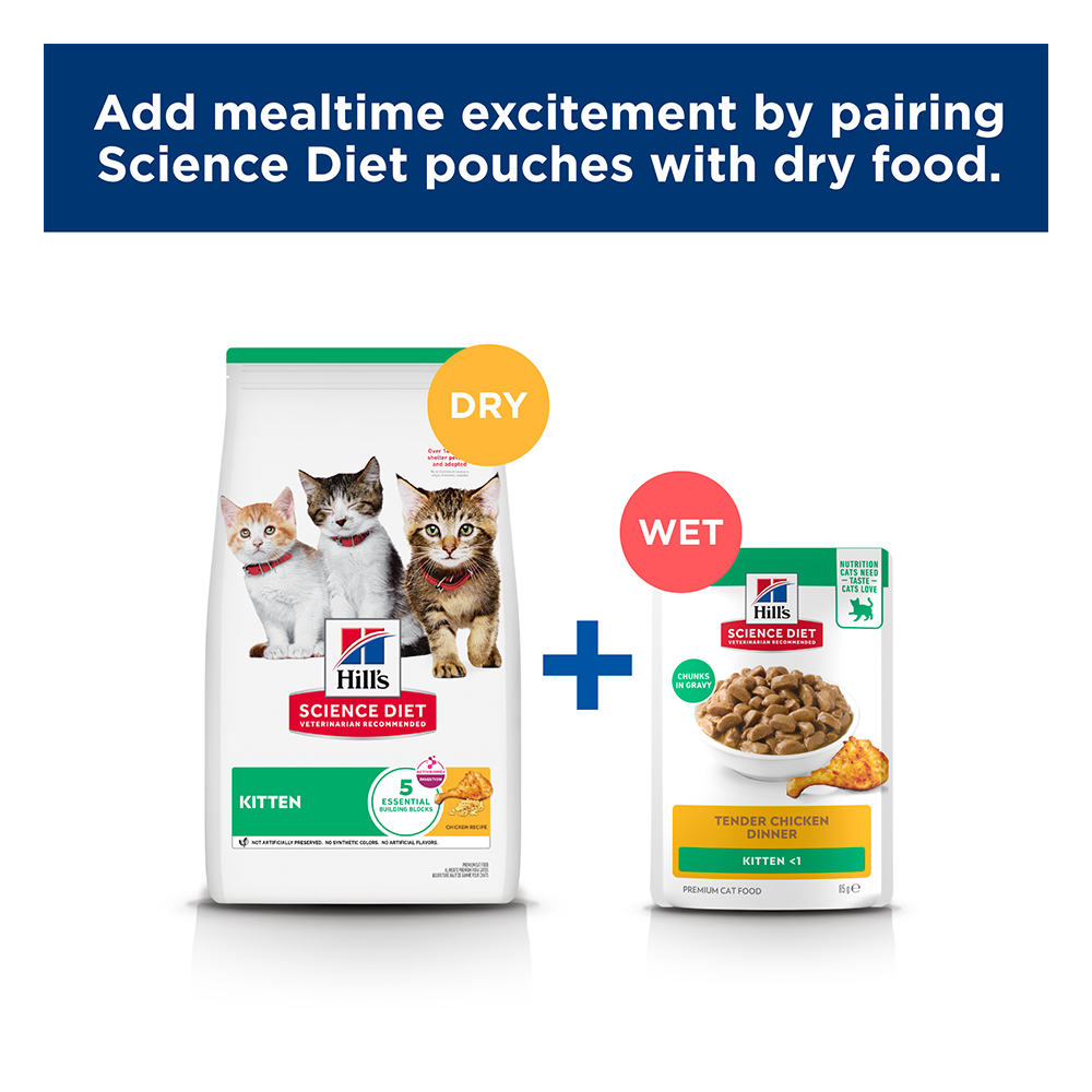 Hill's Science Diet Kitten Up to 1 Year with Salmon Wet Cat Food 85gm