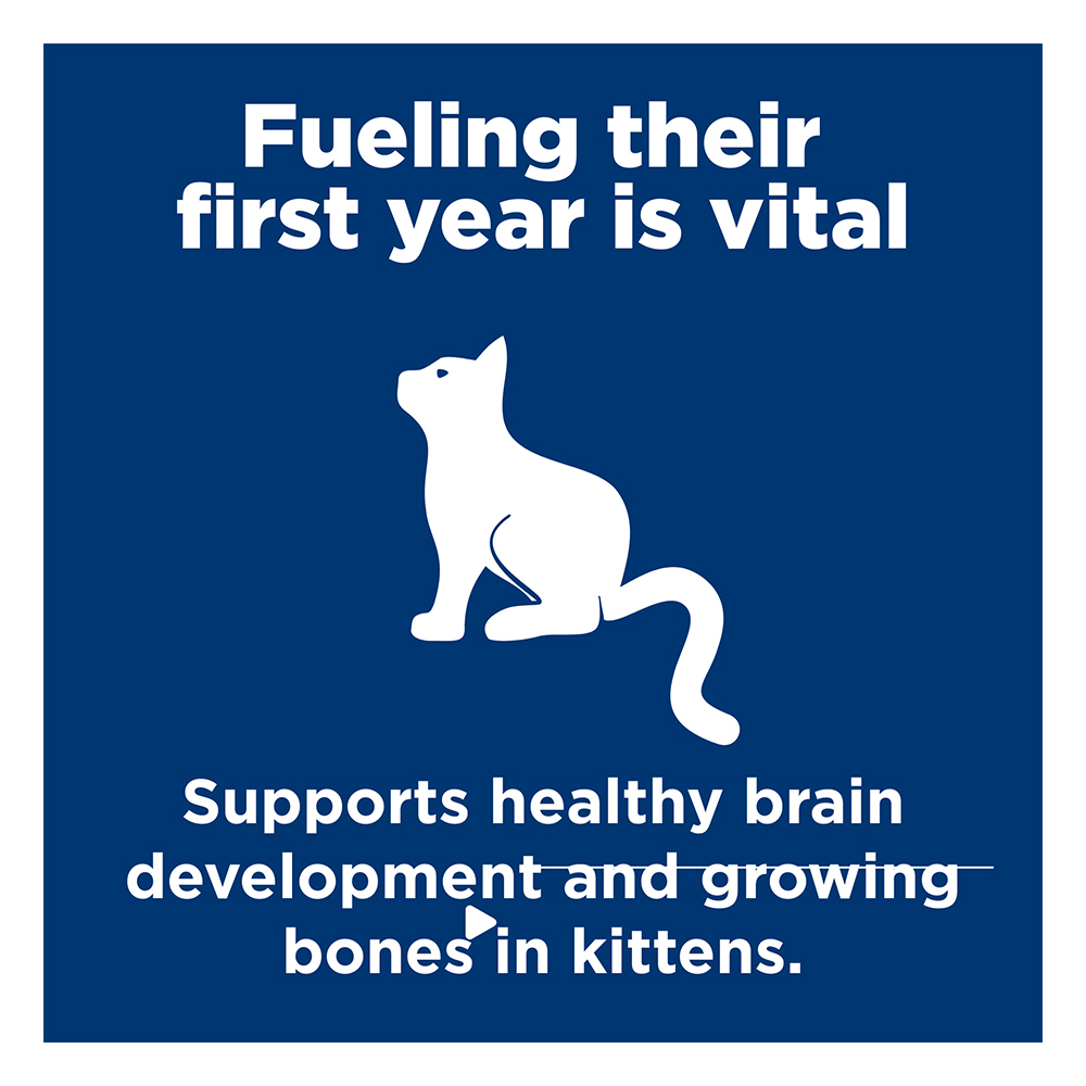 Hill's Science Diet Kitten Up to 1 Year with Salmon Wet Cat Food 85gm