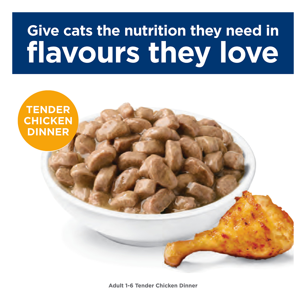 Hill's Science Diet Adult 1-6 Tender Chicken Dinner Wet Cat Food 85gm
