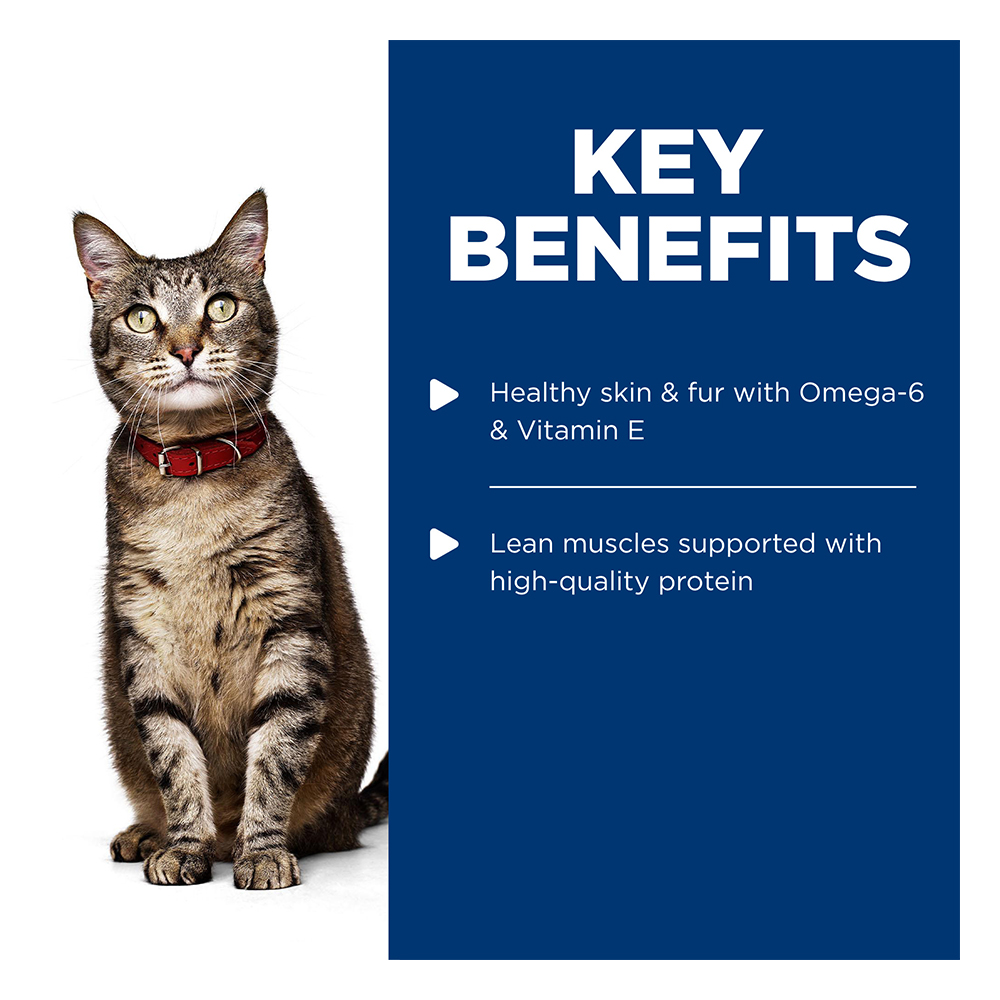 Hill's Science Diet Adult 1-6 with Salmon Wet Cat Food 85gm
