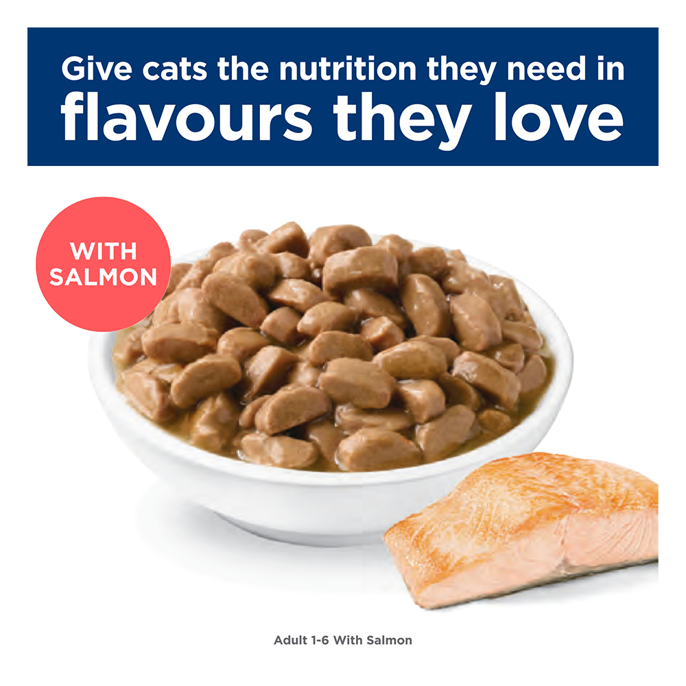 Hill's Science Diet Adult 1-6 with Salmon Wet Cat Food 85gm