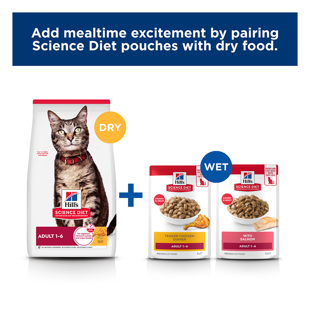 Hill's Science Diet Adult 1-6 with Salmon Wet Cat Food 85gm