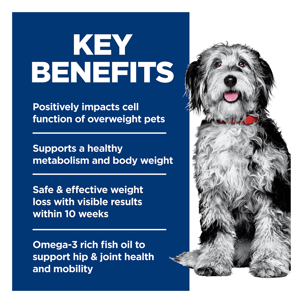 Hill's Science Diet Perfect Weight & Joint Support Adult Chicken & Brown Rice Recipe Dry Dog Food