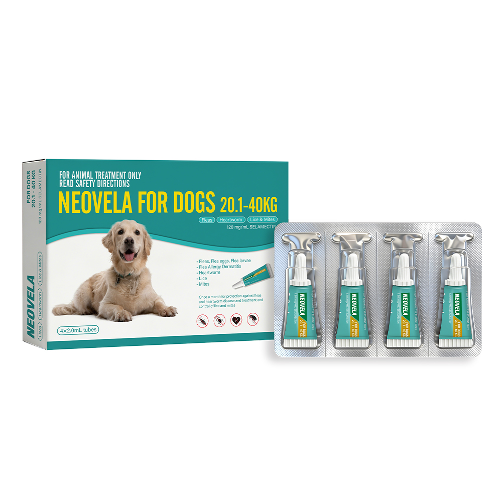 Neovela (Selamectin) Flea and Worming For Dogs 20 - 40 Kg Aqua