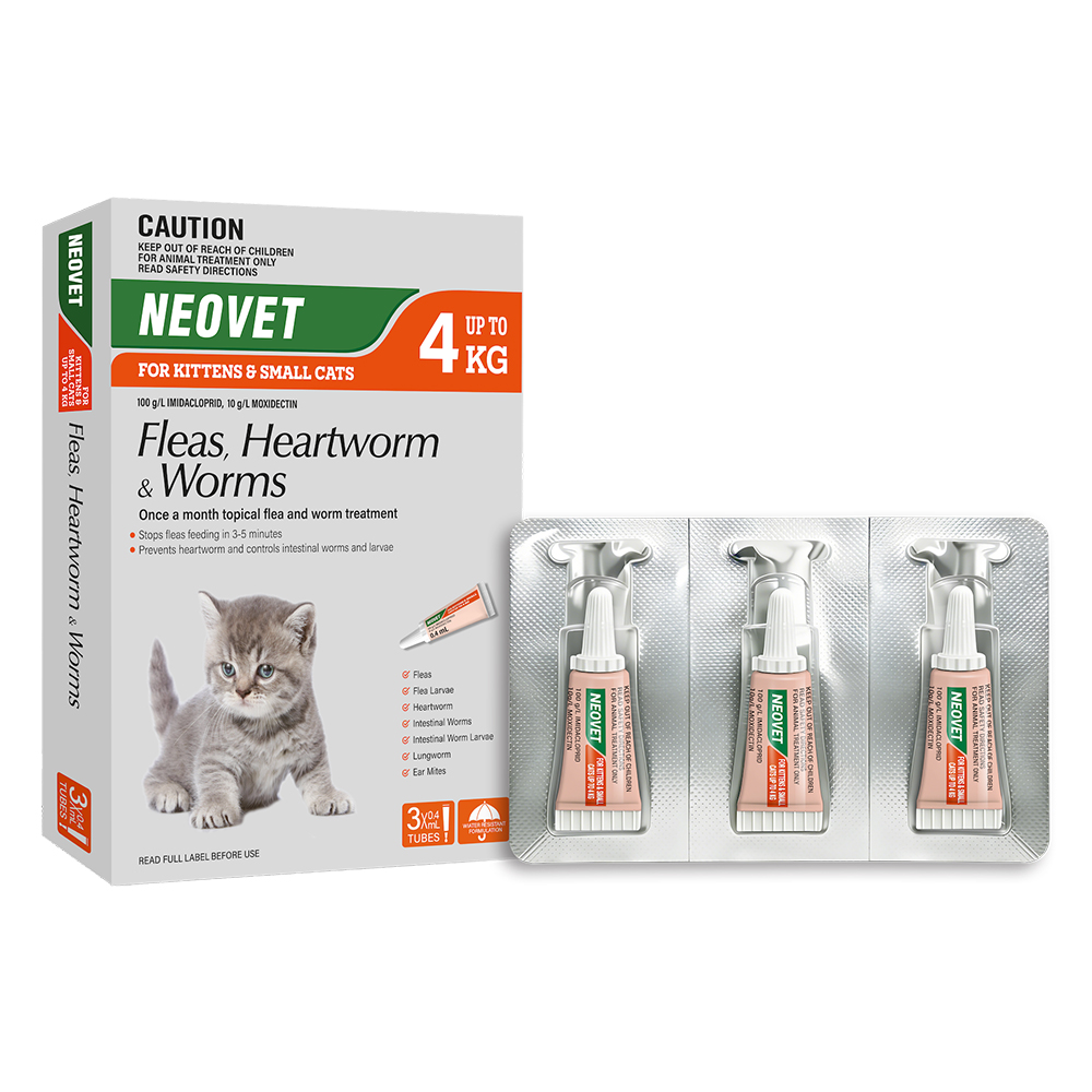 Neovet Flea and Worming For Kittens and Small Cats Upto 4kg Orange