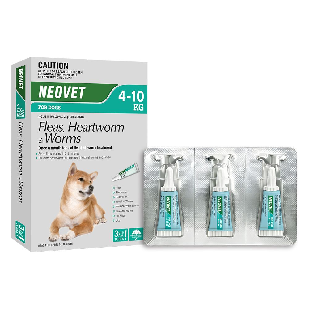 Neovet Flea and Worming For Medium Dogs 4 to 10kg Aqua