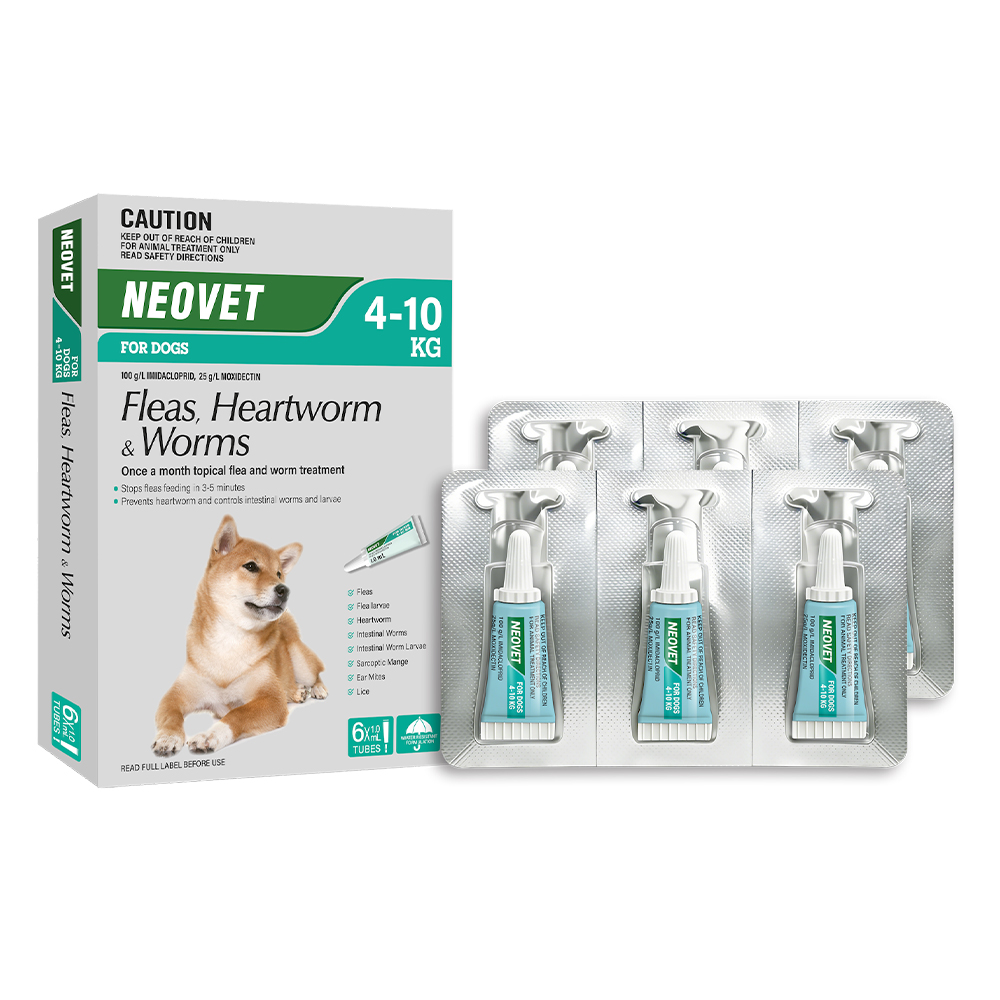 Neovet Flea and Worming For Medium Dogs 4 to 10kg Aqua