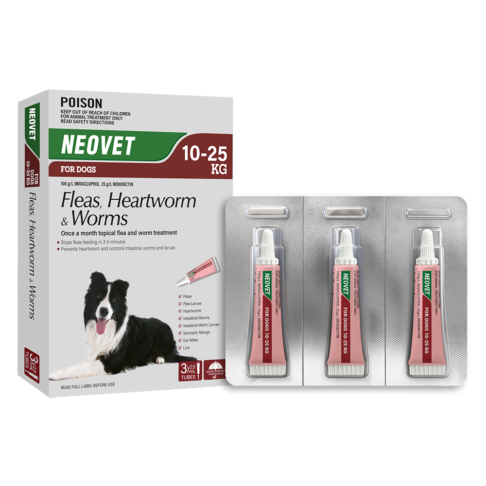 Neovet Flea and Worming For Large Dogs 10 to 25kg Red