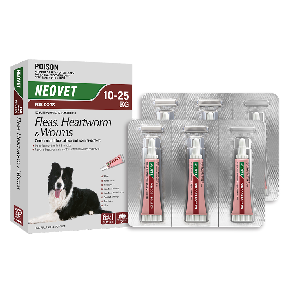 Neovet Flea and Worming For Large Dogs 10 to 25kg Red