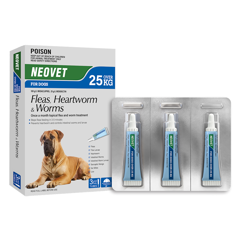 Neovet Flea and Worming For Extra Large Dogs Over 25Kg Blue