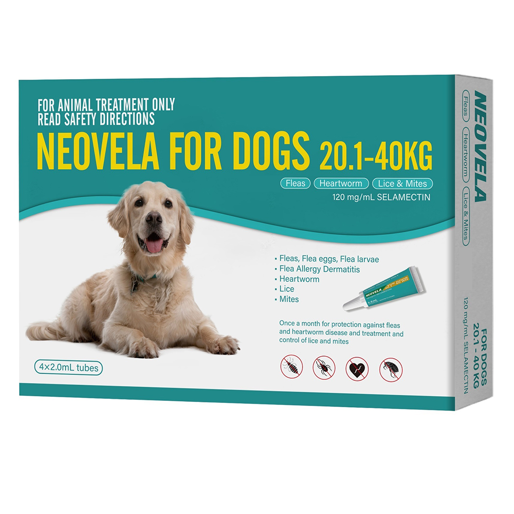 Neovela (Selamectin) Flea and Worming For Dogs 20 - 40 Kg Aqua
