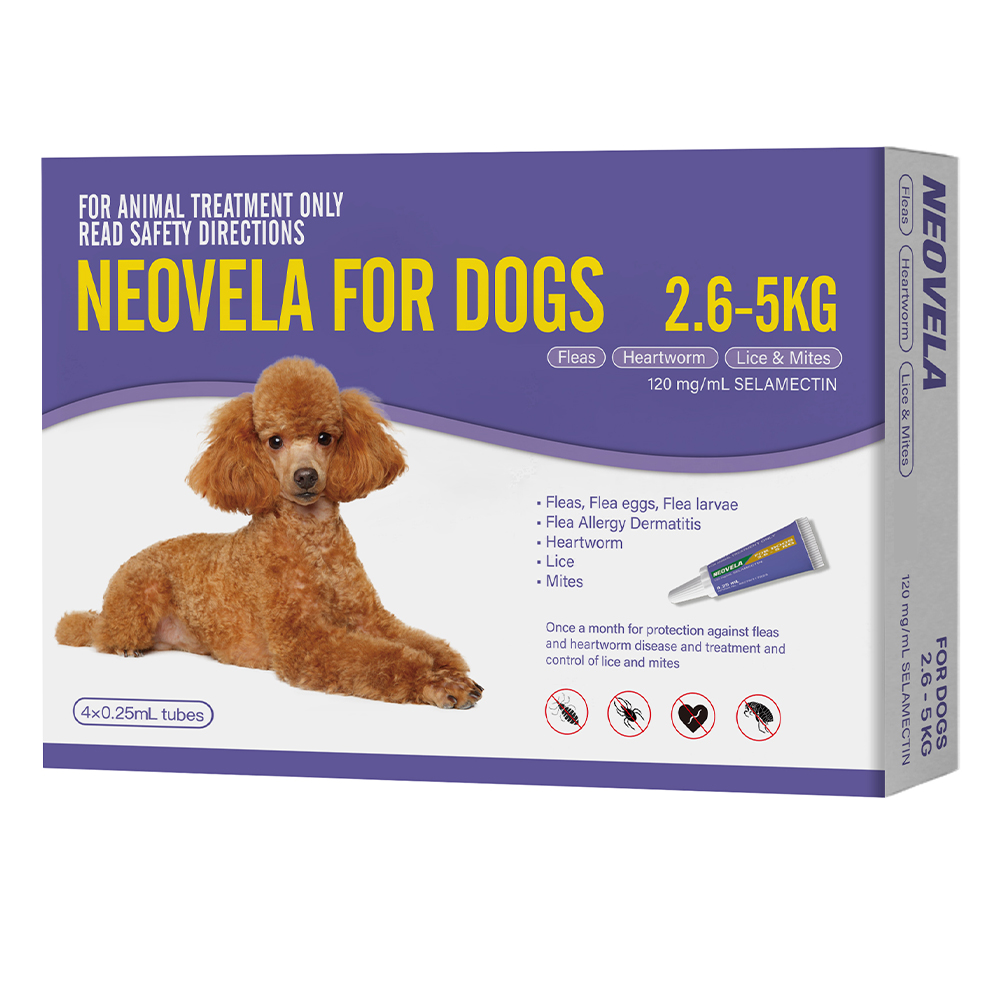Neovela (Selamectin) Flea and Worming For Dogs 2.5 - 5 Kg Purple