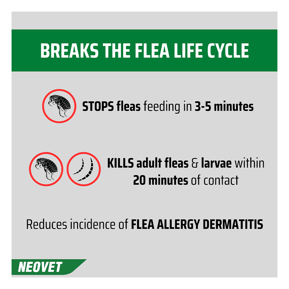 Neovet Flea and Worming For Extra Large Dogs Over 25Kg Blue