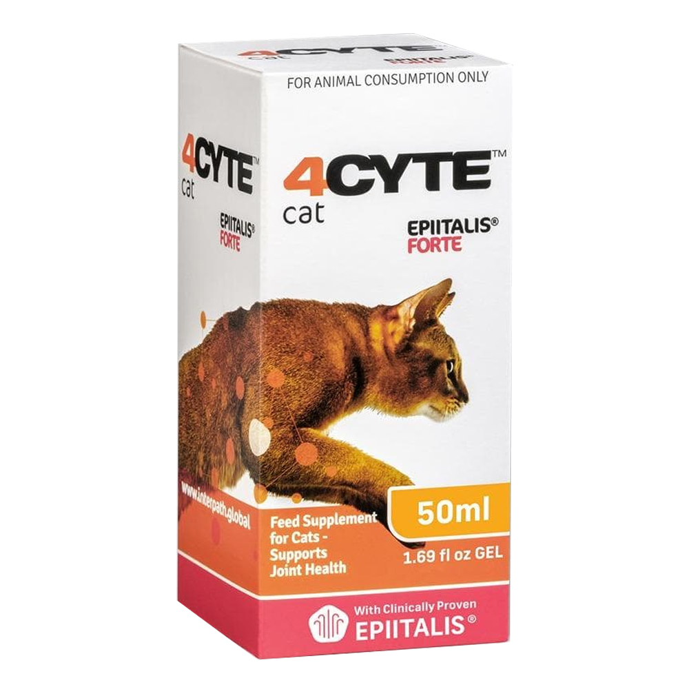 4CYTE Feline Epiitalis Forte Joint Support Gel for Cat for Cat Supplies