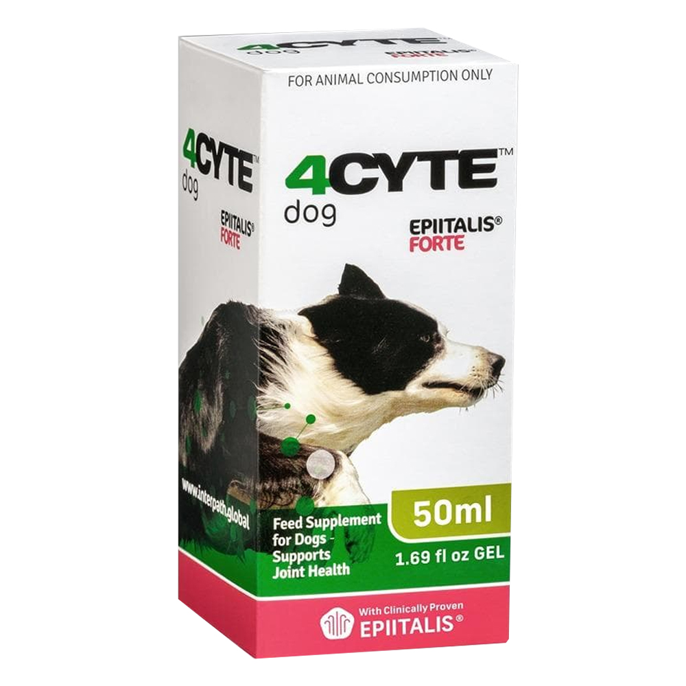 4CYTE Canine Epiitalis Forte Joint Support Gel for Dog for Dog Supplies