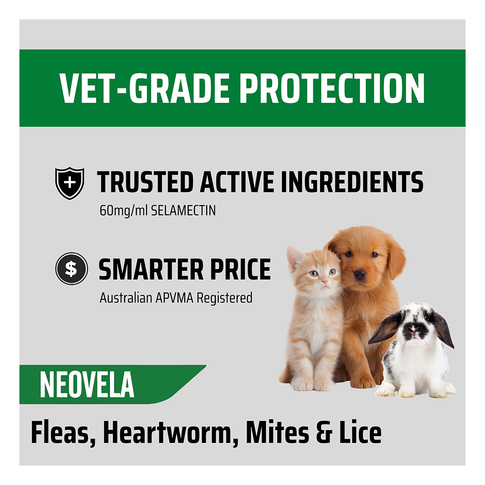 Neovela (Selamectin) Flea And Worming For Puppies and Kittens Upto 2.5 Kg Pink
