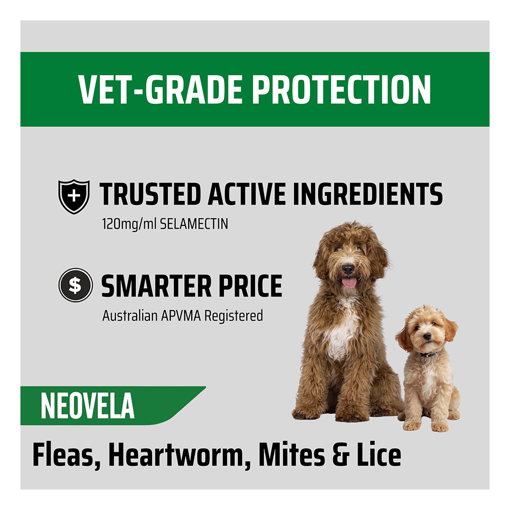 Neovela (Selamectin) Flea and Worming For Dogs 2.5 - 5 Kg Purple