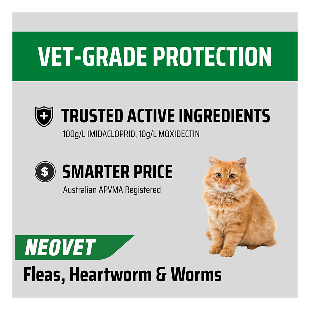 Neovet Flea and Worming For Cats over 4kg Purple