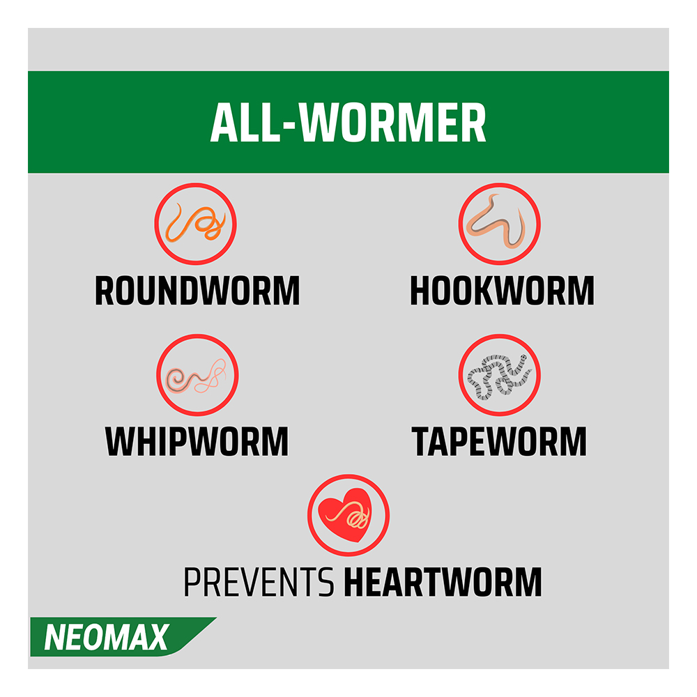 Neomax Allwormer Tablets For Small Dogs 0.5 To 5 Kg